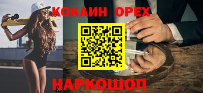 apvp Гатчина