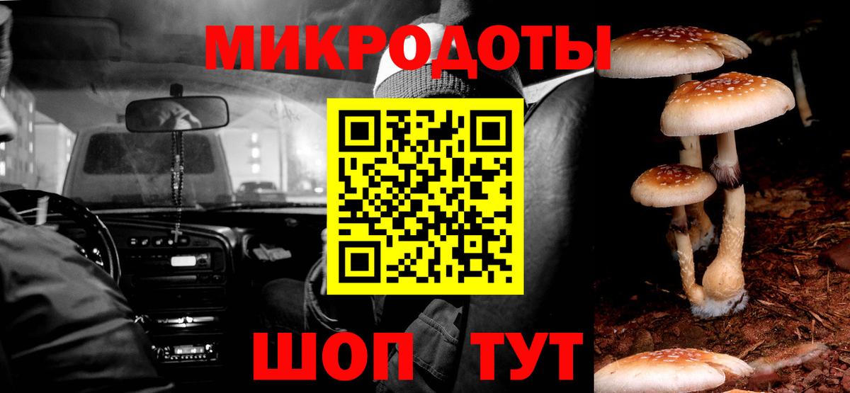 продажа наркотиков  Псилоцибиновые грибы прущие грибы  Вход с VPN  Минусинск 