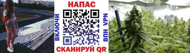 Бошки марихуана Bruce Banner  Минусинск 
